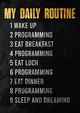 Programmer's Daily Routine