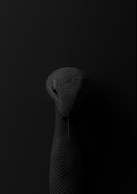 Black Snake Minimalist