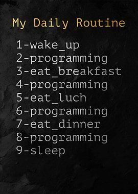 Programmer's Daily Routine