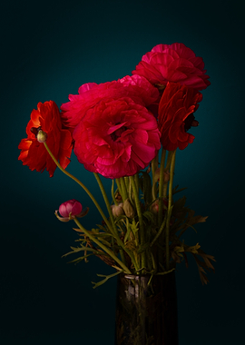 Pink Flowers in Vase
