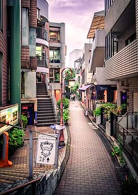 Narrow Street in Japan