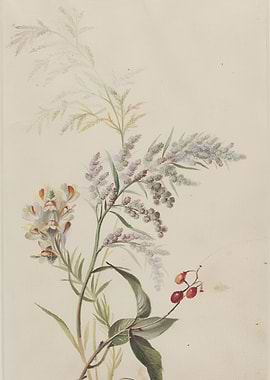 Botanical Watercolor Painting