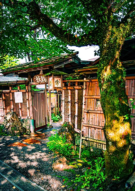 Japanese Garden Gate