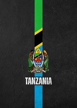 Tanzania Flag Design