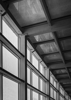 Modern Architecture Windows