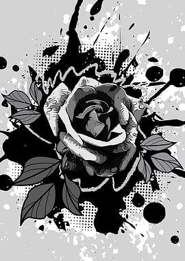 Very Black Rose