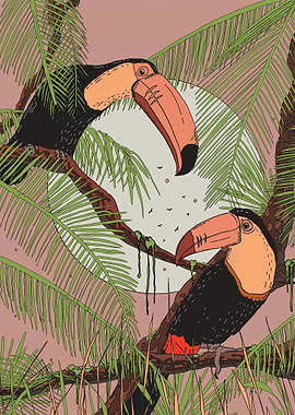 Toucans in Palm Trees