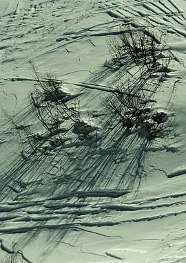 Winter Landscape with Shadows