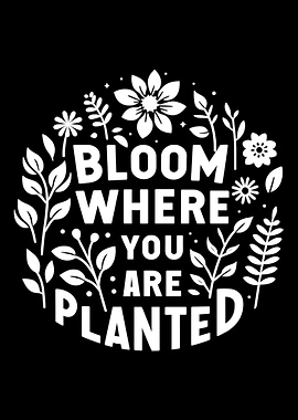 Bloom where you are plante