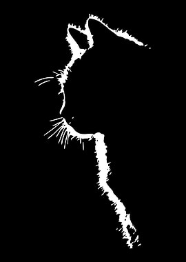 Cat Silhouette