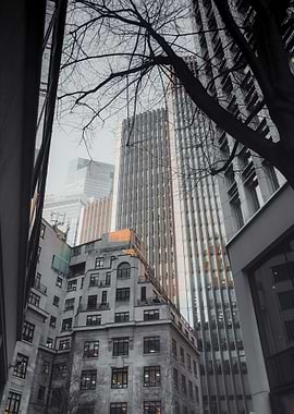 Cityscape with Tall Buildings