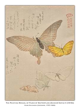 Japanese Butterfly Painting