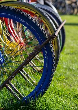 Colorful Bicycle Wheels