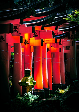 Red Torii Gates in Forest