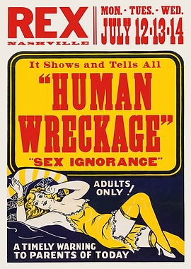 Human Wreckage Movie Poster