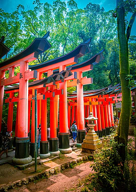 Fushimi Inari Shrine Torii Gates