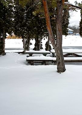 Snowy Picnic Area