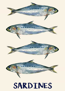 Sardines Illustration