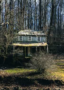 Abandoned House in Woods