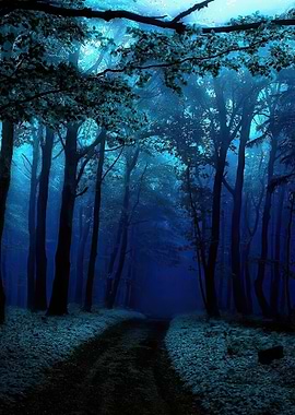 Blue Forest Path