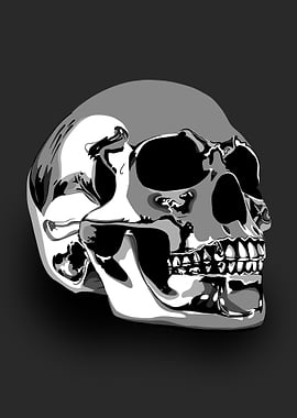 Silver Skull Illustration