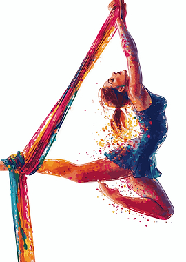 Aerial Silk Artist