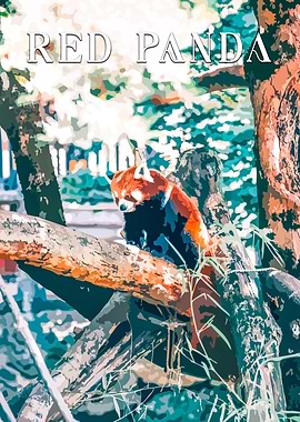 Red Panda on Branch
