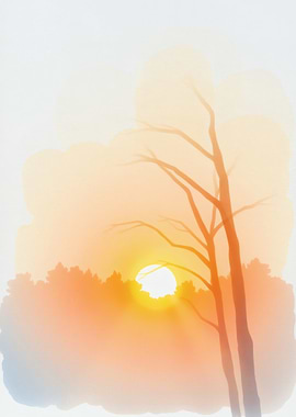 Serene Sunset Landscape