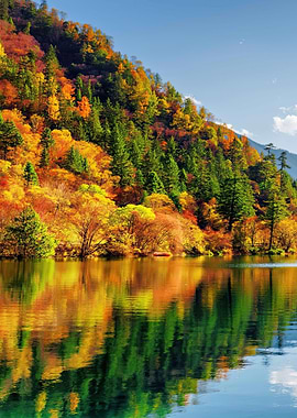 Autumn Forest Reflection