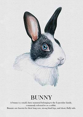 Black and White Bunny Watercolor