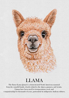 Llama Watercolor Portrait