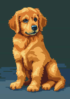 Golden Retriever Puppy