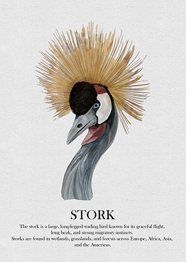 Stork Watercolor Illustration