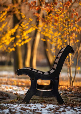Park Bench in Autumn