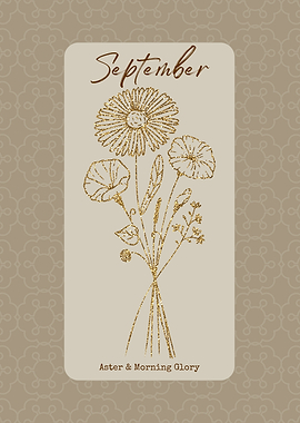 September Birth Month Flower Aster and Morning Glory