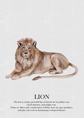 Watercolor Lion Illustration