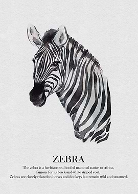 Zebra Watercolor Print
