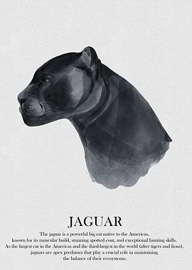 Jaguar Watercolor Illustration