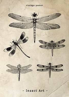 Vintage Dragonfly Poster