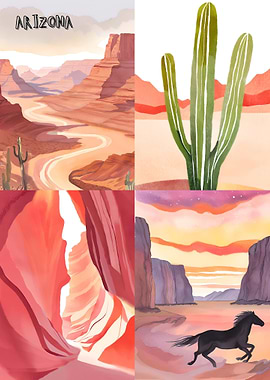 Arizona Desert Landscapes