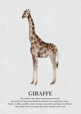 Giraffe Watercolor Illustration