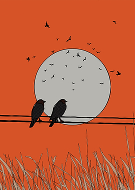 Birds on Wire Sunset