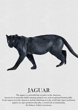 Jaguar Watercolor Illustration