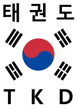 Taekwondo South Korean Flag TKD