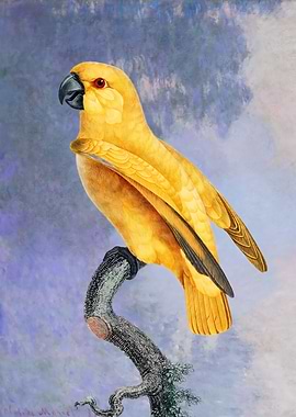 Yellow Parrot on Branch