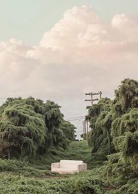 Sofa in a Kudzu Forest