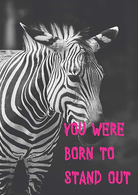 Zebra Stand Out