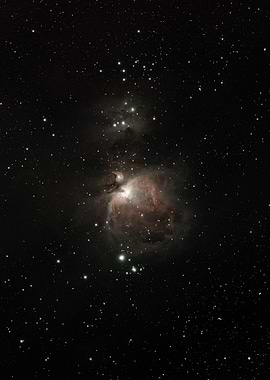 Orion Nebula