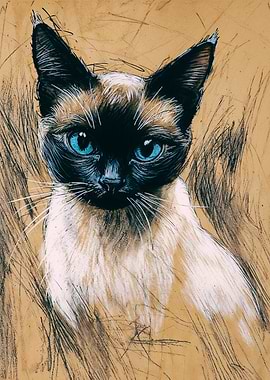 Siamese Cat Portrait