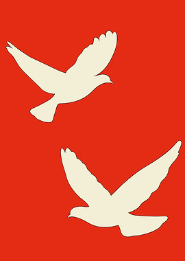 Two White Doves in Flight